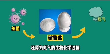 什么是污水處理中的反硝化？