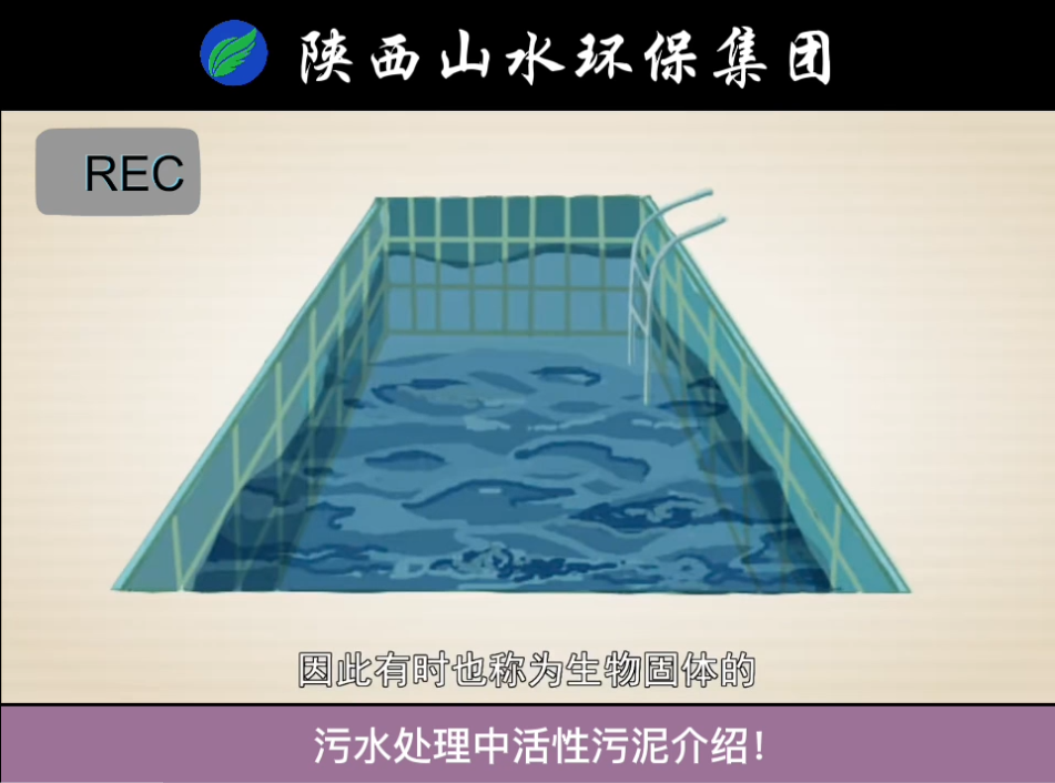 污水處理中活性污泥介紹！